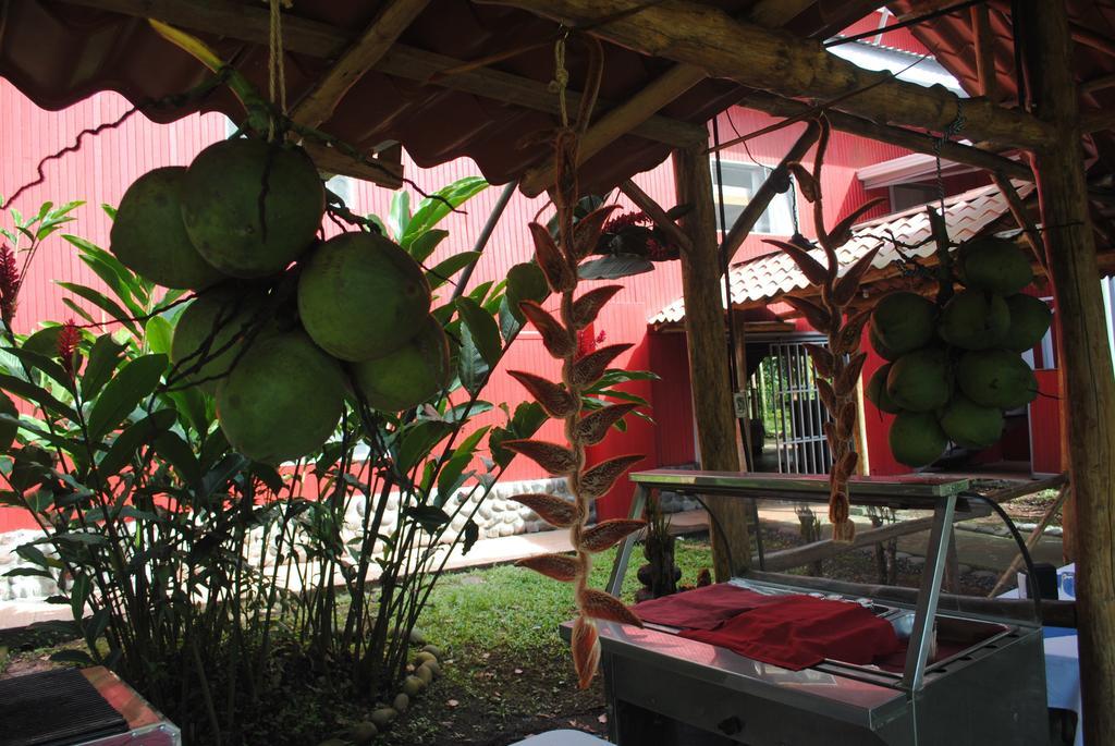 Tirimbina Islas Del Rio Hostel מראה חיצוני תמונה