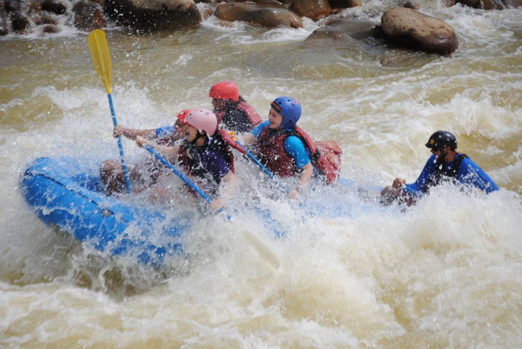 Tirimbina Islas Del Rio Hostel מראה חיצוני תמונה