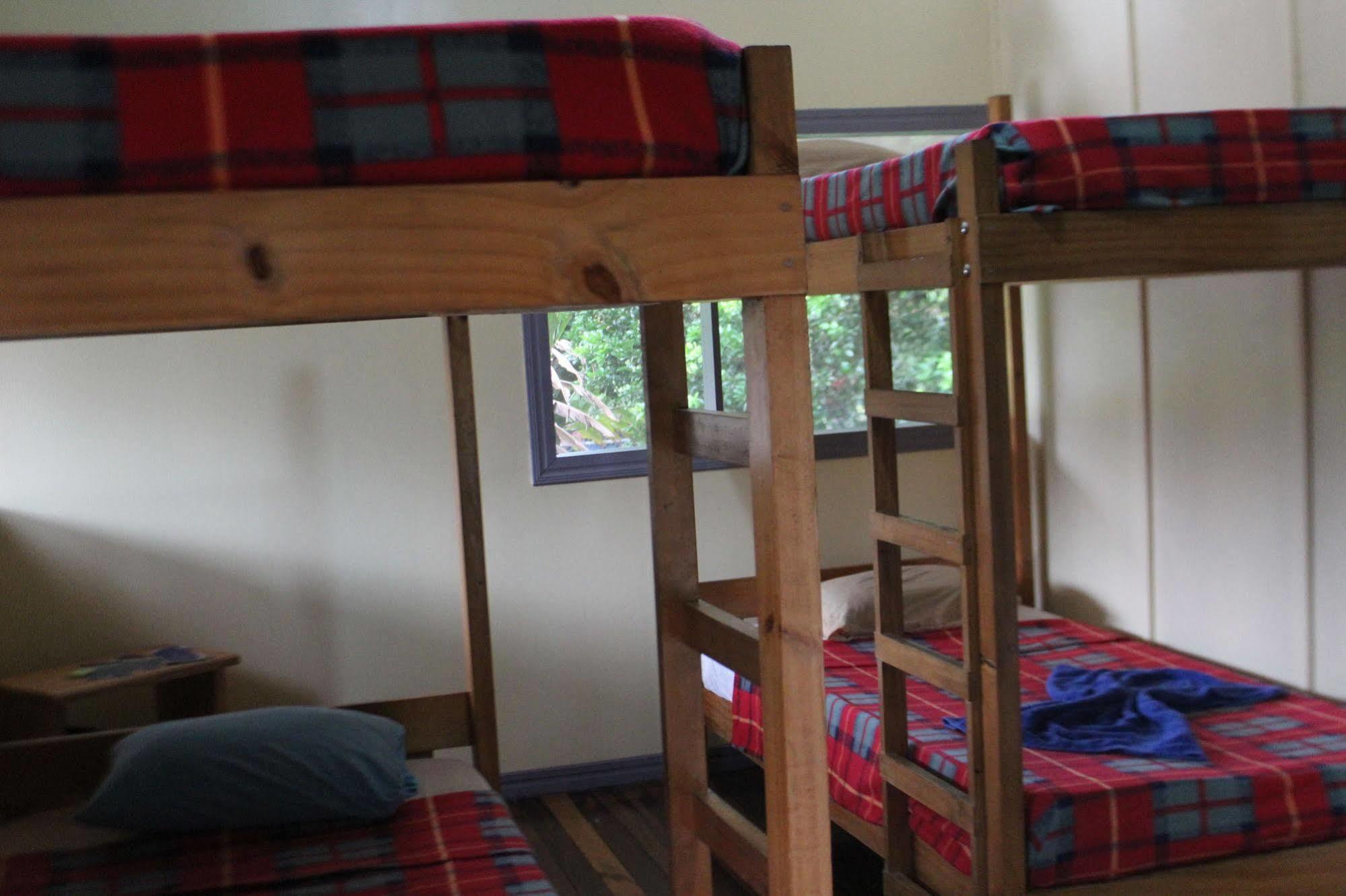Tirimbina Islas Del Rio Hostel מראה חיצוני תמונה