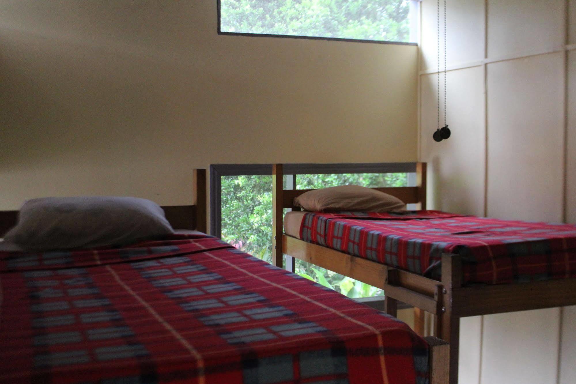 Tirimbina Islas Del Rio Hostel מראה חיצוני תמונה