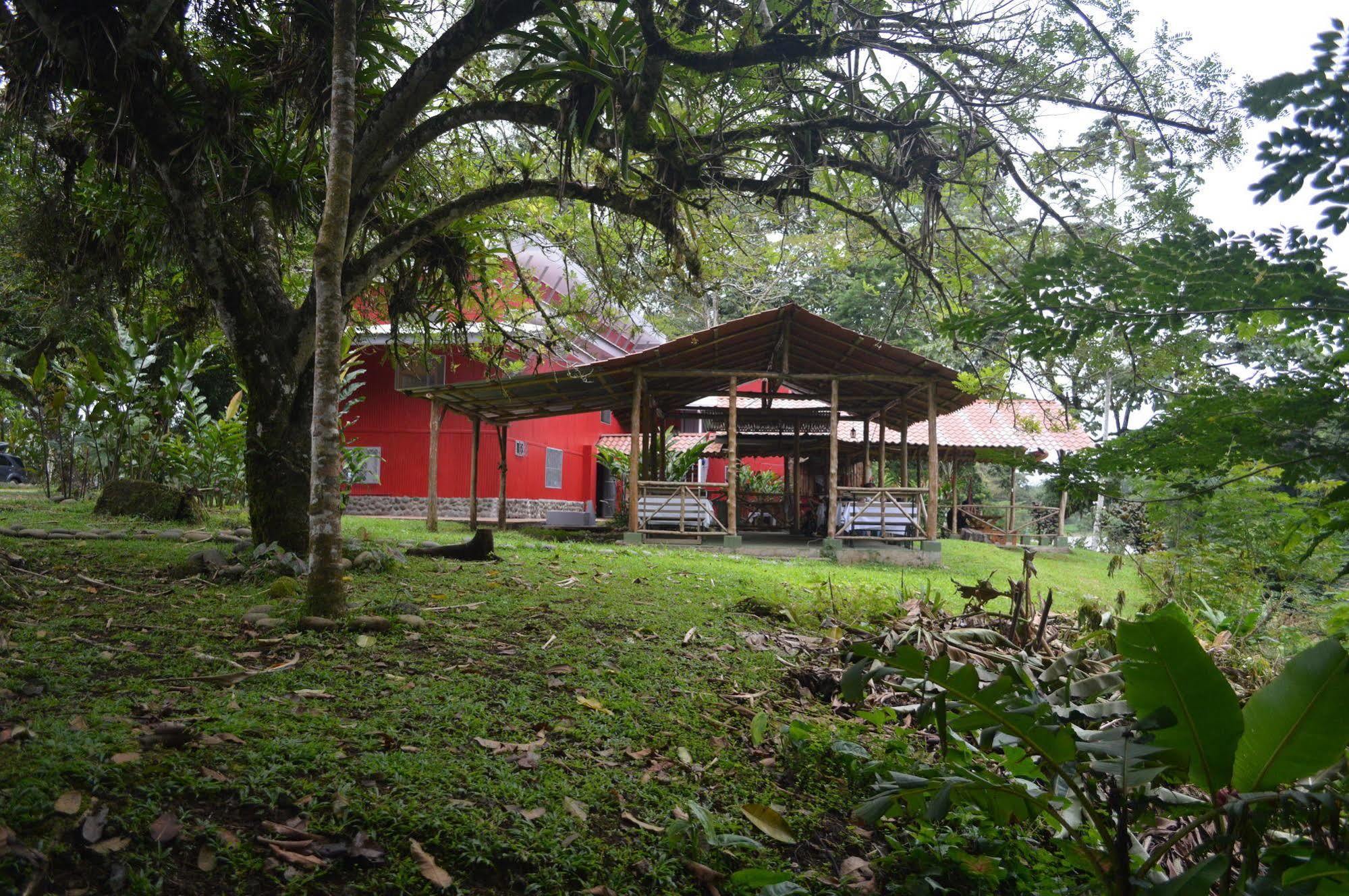 Tirimbina Islas Del Rio Hostel מראה חיצוני תמונה