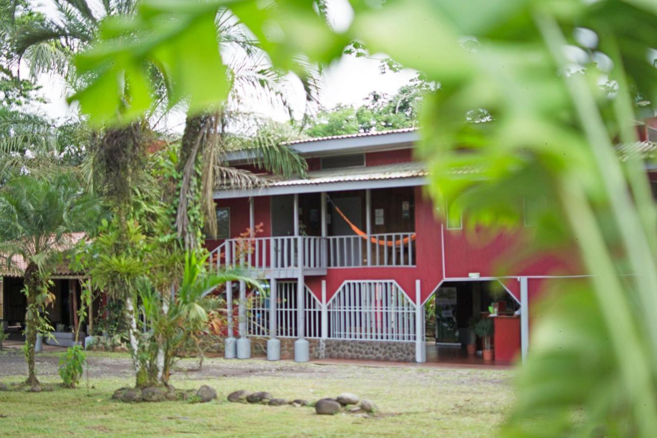 Tirimbina Islas Del Rio Hostel מראה חיצוני תמונה